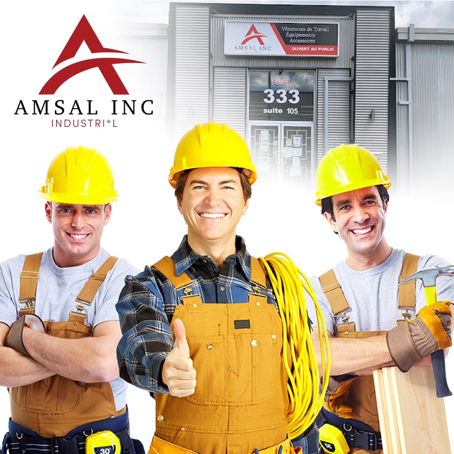 AmSal Inc.